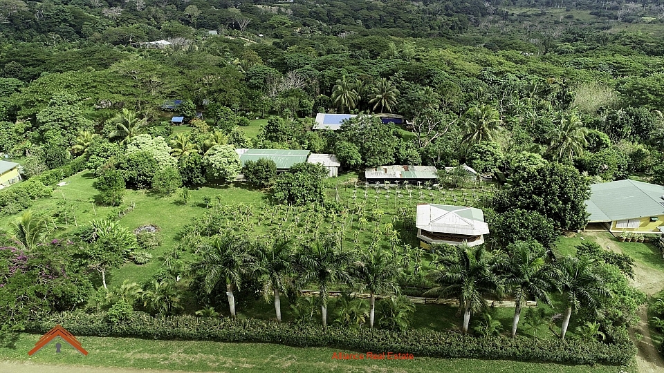 Rural Opportunity
