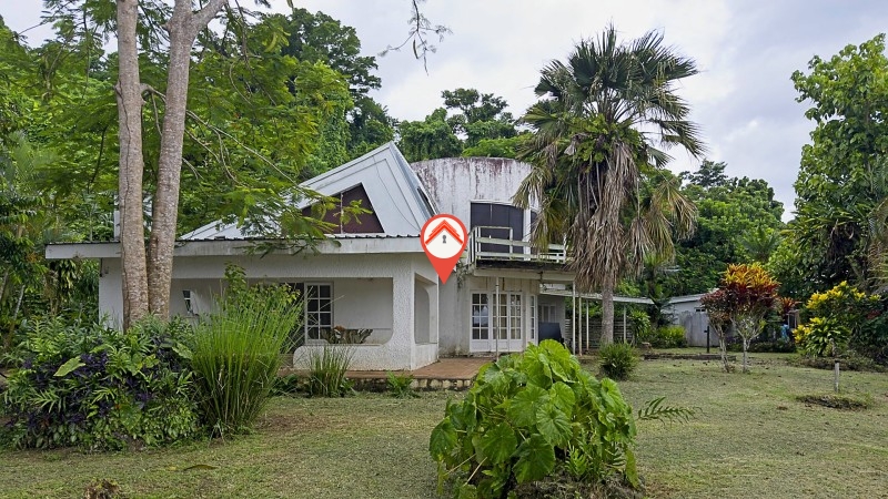 Papaya Estate