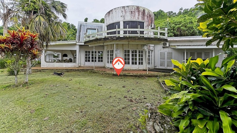 Papaya Estate