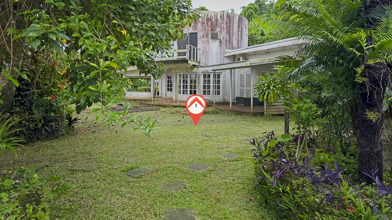 Papaya Estate