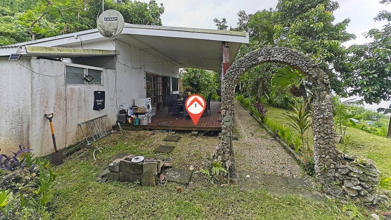 Papaya Estate