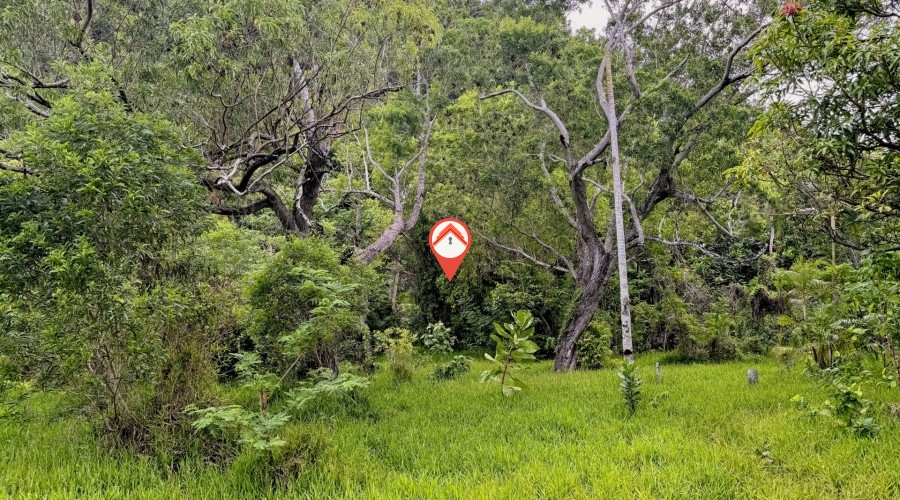 Paradise Location