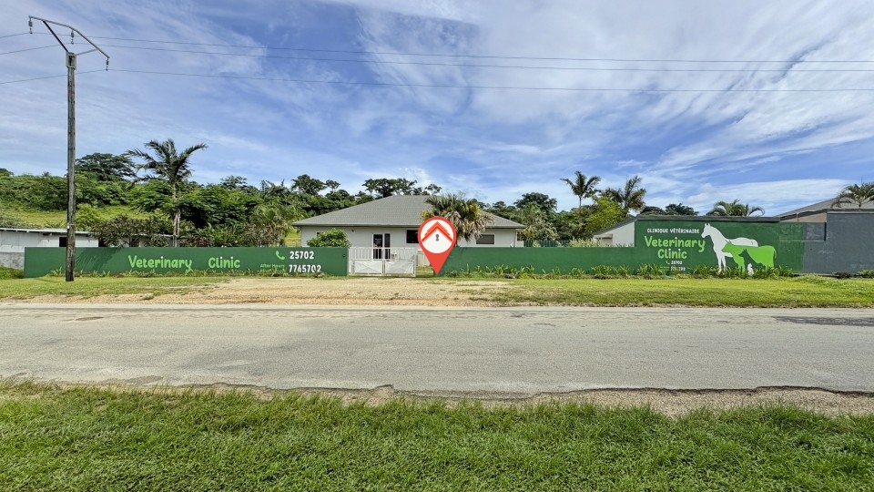 Unique Rental Property