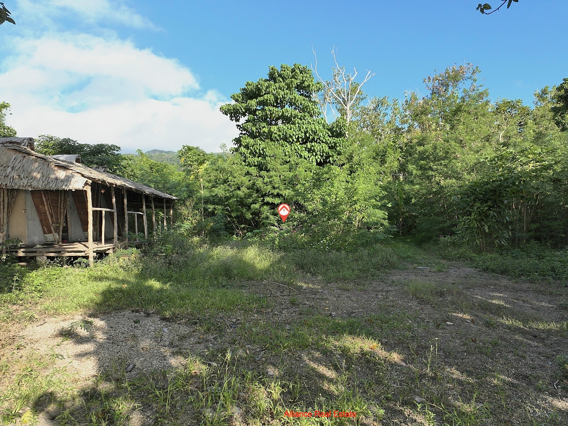 ar MCG250704-0016