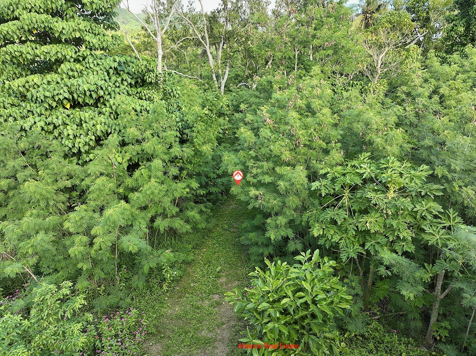 ar MCG250704-0021