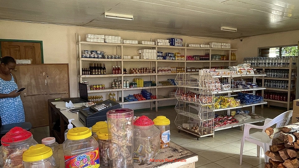 Commercial Opportunity