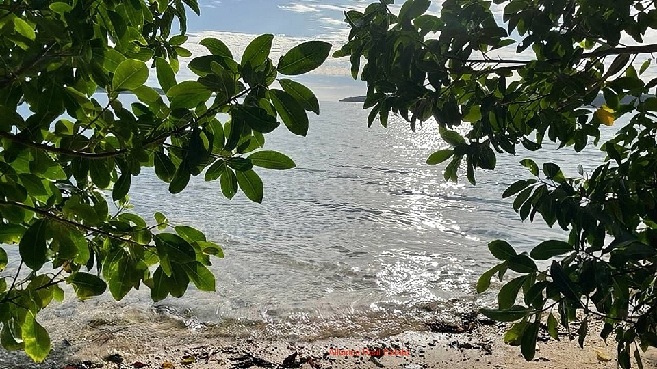 Reach for the beach