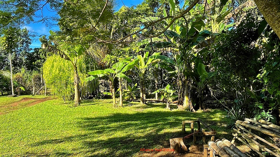 Teouma Gardens Dream Block