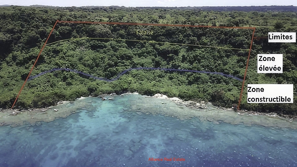 Eco Paradise