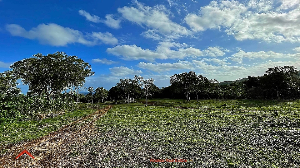 Le Plateau 