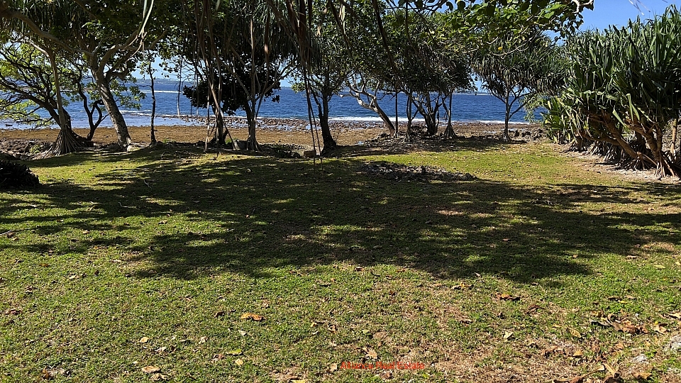 Oceanfront Bargain