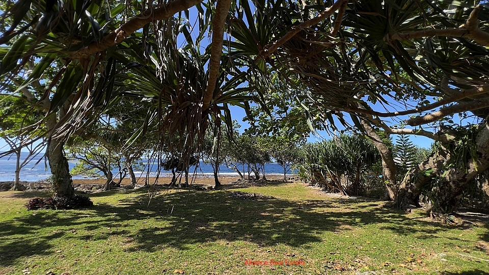 Oceanfront Bargain